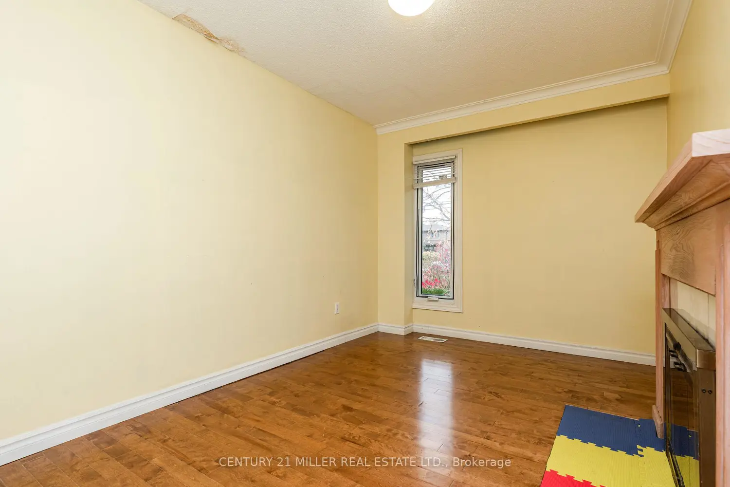 Additional image 7 of 1242 Rebecca Street