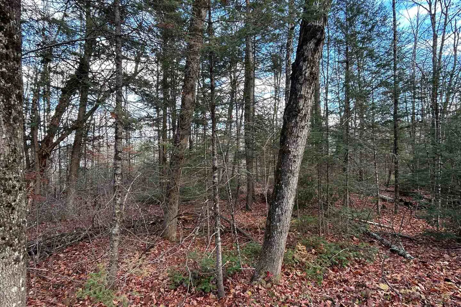 Additional image 10 of 0 Mill Lake Road
