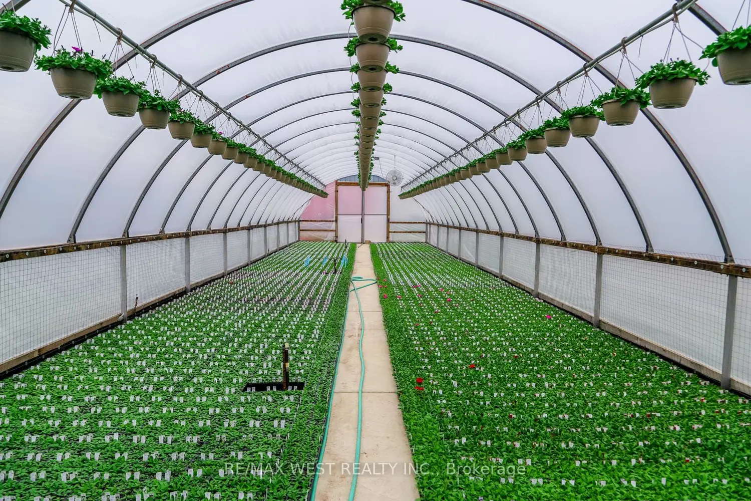 Additional image 16 of 11871 Cold Creek Road