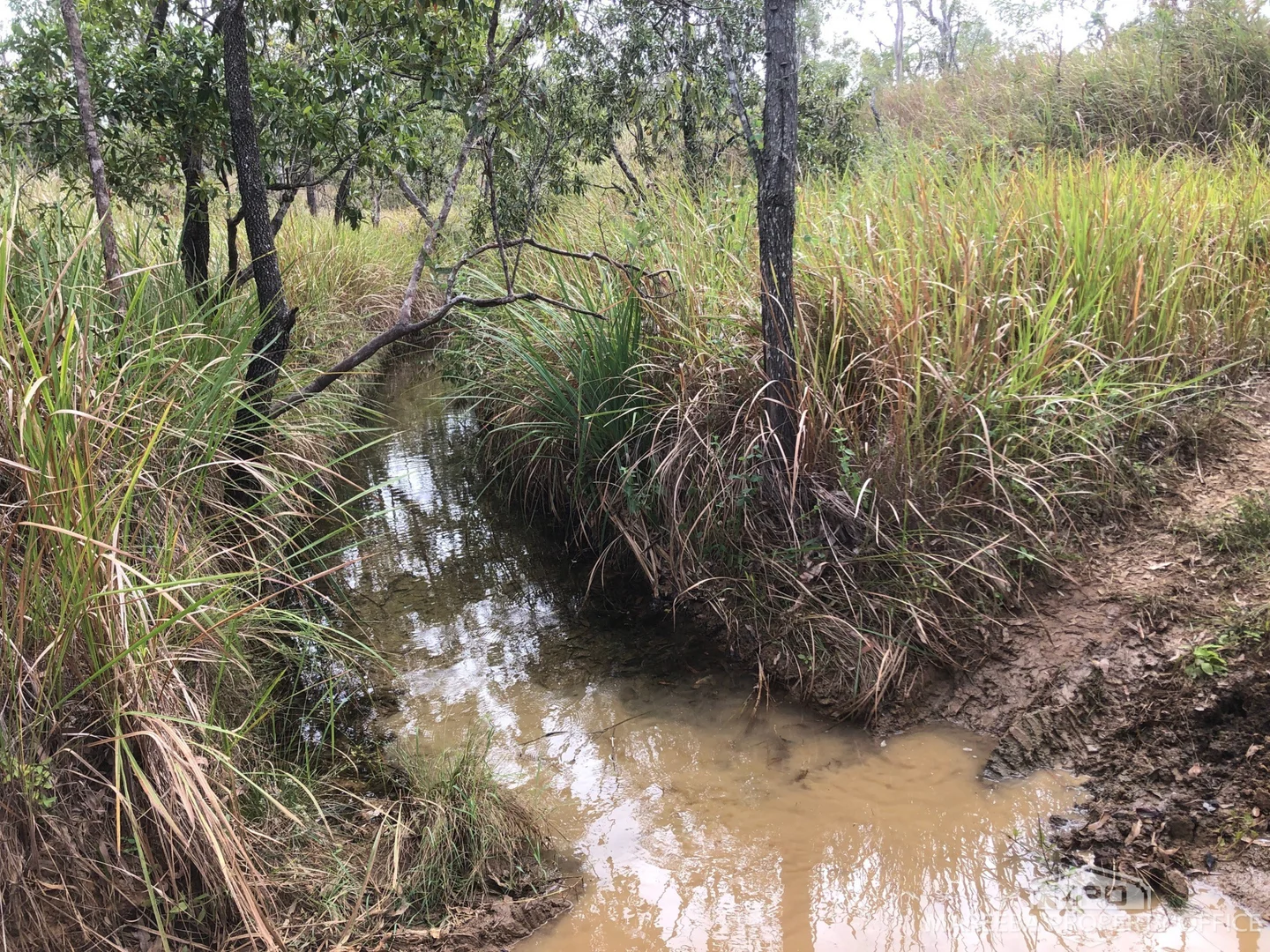 Additional image 2 of Lot 154 / 764 Hodzic Road, Biboohra QLD 4880