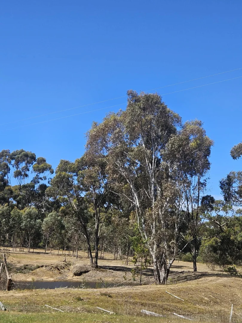 Additional image 8 of 287 Bells Reef Road, Maldon VIC 3463