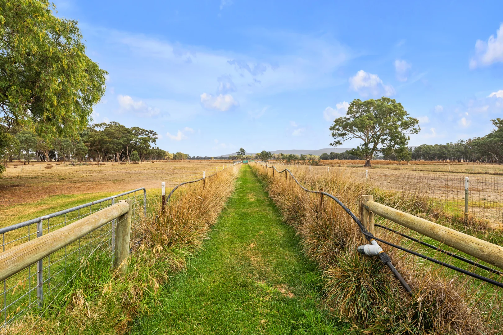 Additional image 14 of 487 Sunraysia Highway, Avoca VIC 3467