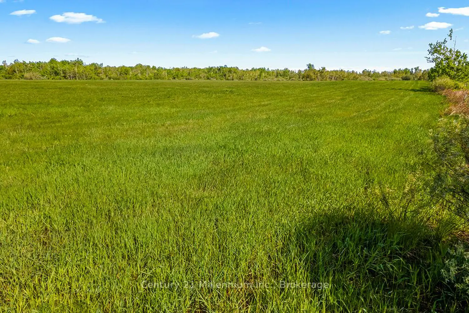 Additional image 14 of 375533 6Th Line