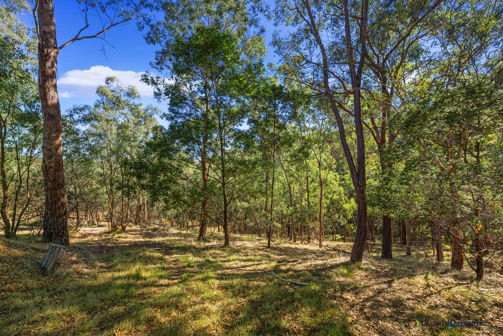 Additional image 18 of 75 Yellow Box Ridge Road, Acheron VIC 3714