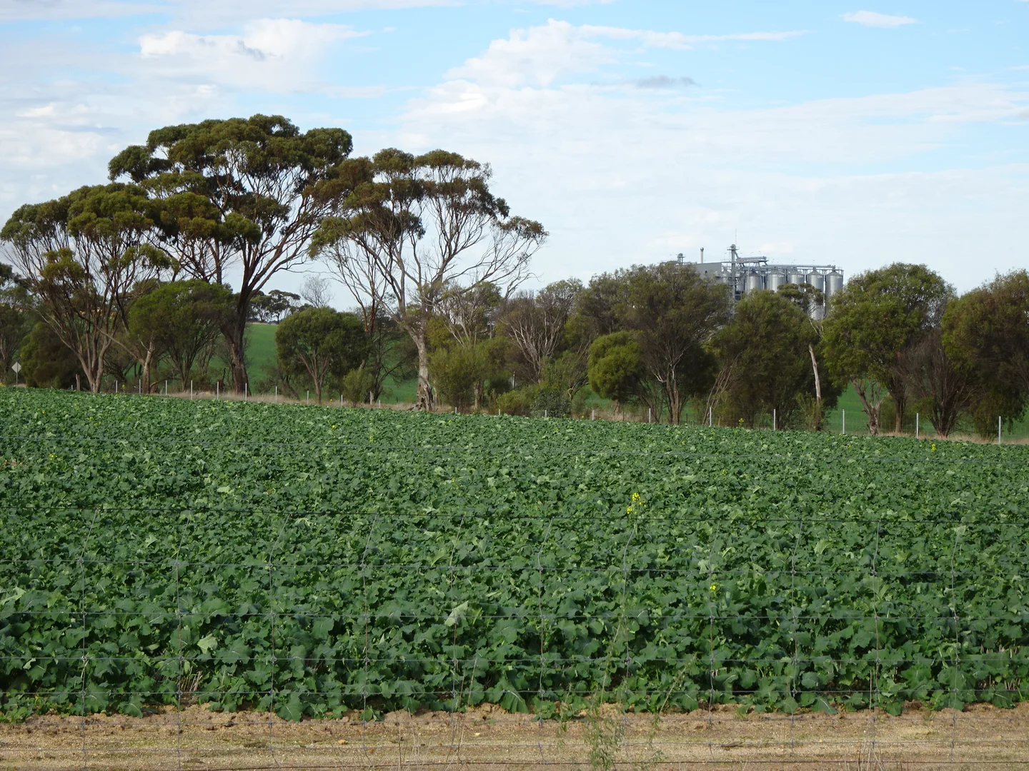 Additional image 3 of Grout Road, Cuballing WA 6311