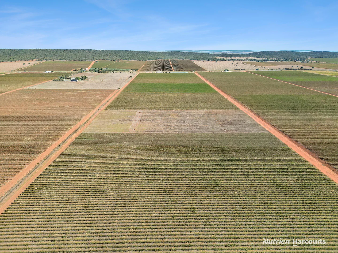 Additional image 12 of 1631 Rankins Springs Road, Myall Park NSW 2681