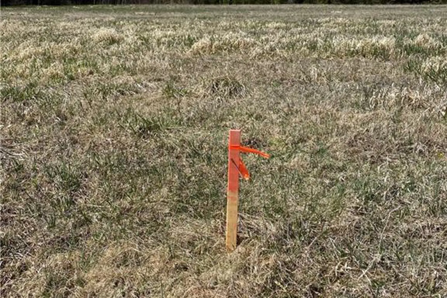 Additional image 9 of L12c1p1 Union Road