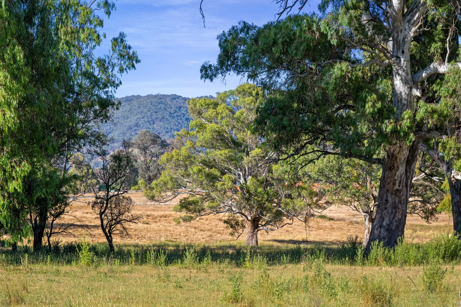 Additional image 12 of 9 Apple Box Court, Baranduda VIC 3691