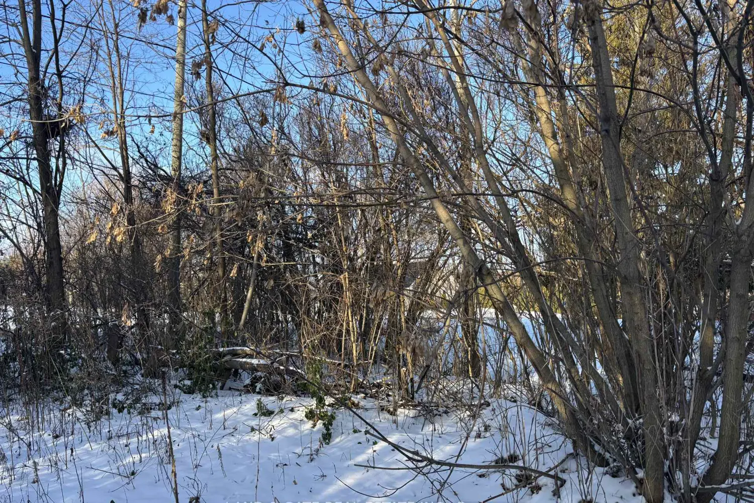 Additional image 4 of 00 Kelwood Lane