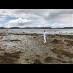 Additional image 14 of 4 Bed Flat, Clerk Street, EH8, N1 7GU