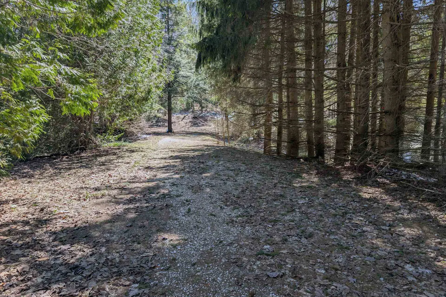 Additional image 8 of 120 Anderson Drive