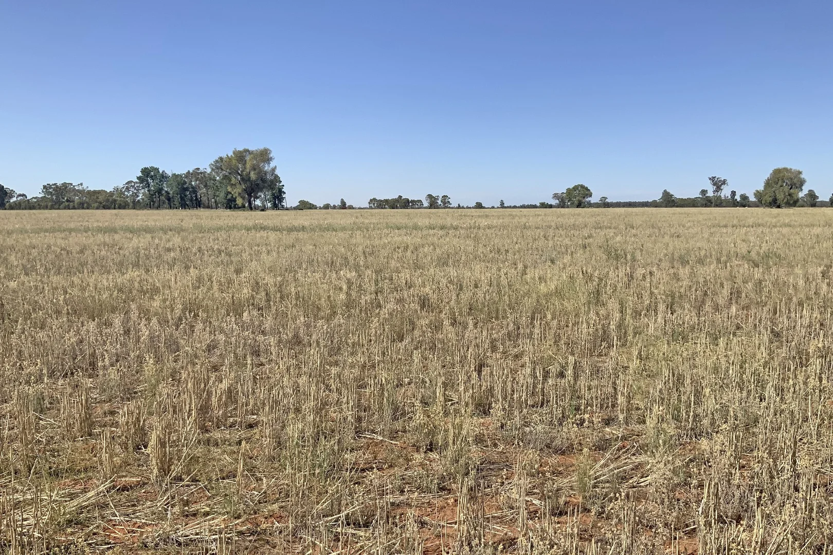 Additional image 11 of 703 Yethera Road, Tullamore NSW 2874