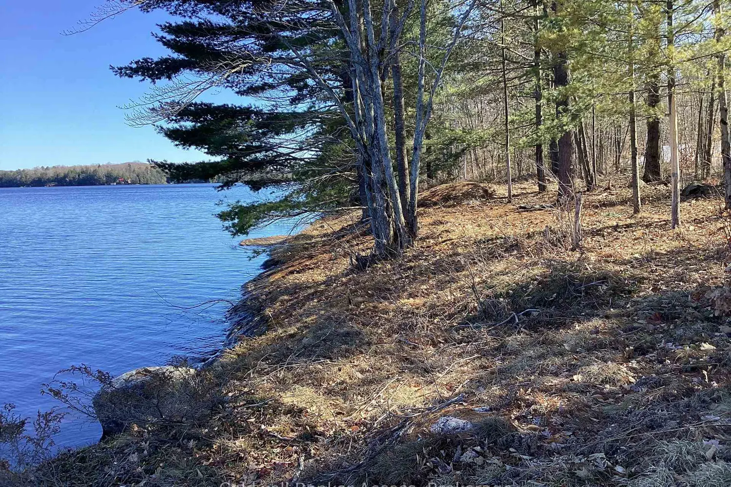 Additional image 5 of 38 Hawkins Point Road