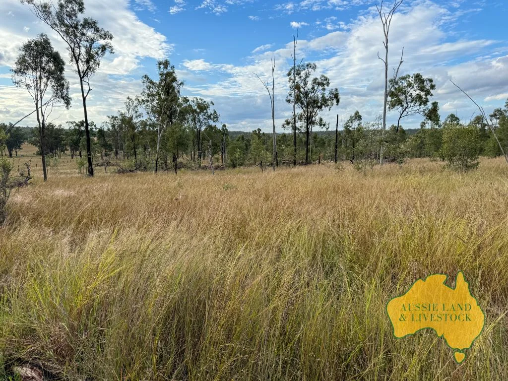 Additional image 30 of 8 SCREENING PLANT ROAD, Cynthia QLD 4627
