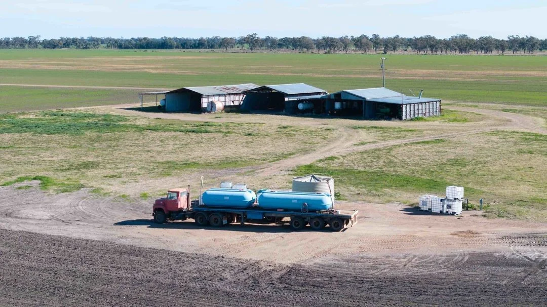 Additional image 5 of Cheecome and Carols, Moree NSW 2400