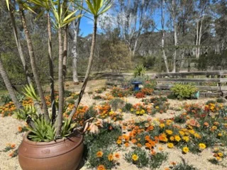 Additional image 16 of 28 Macovoy Lane, Waanyarra VIC 3551