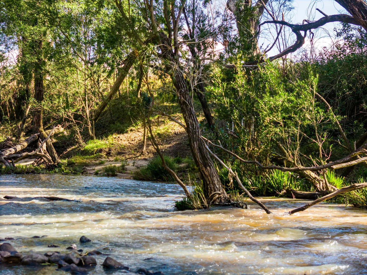 Additional image 37 of 119 Paddys Flat Road, Tabulam NSW 2469