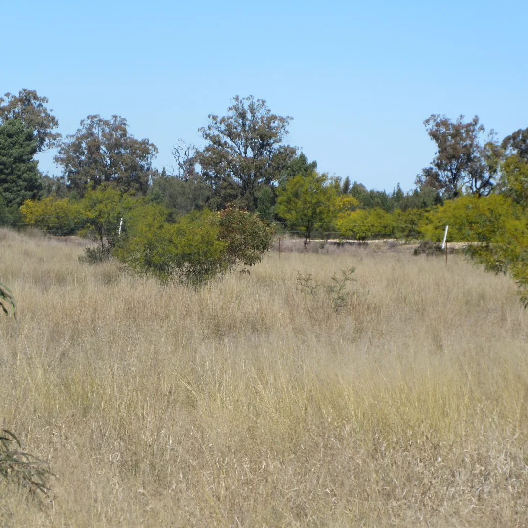 Additional image 12 of Tara QLD 4421