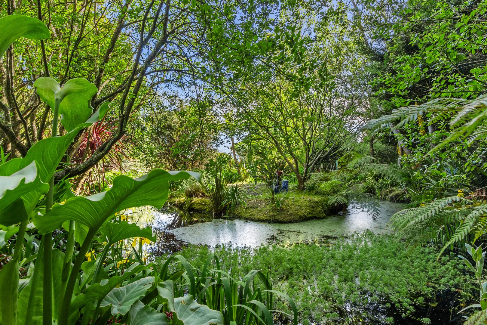 Additional image 22 of 9 Hall Road, Mount Eccles VIC 3953