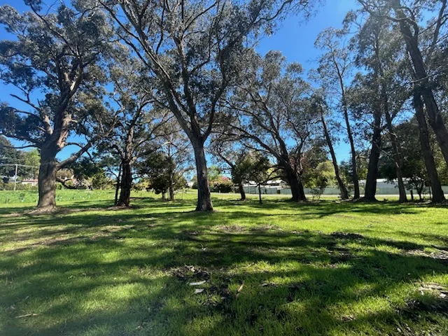 Additional image 11 of 8 Bowen Street, Trentham VIC 3458