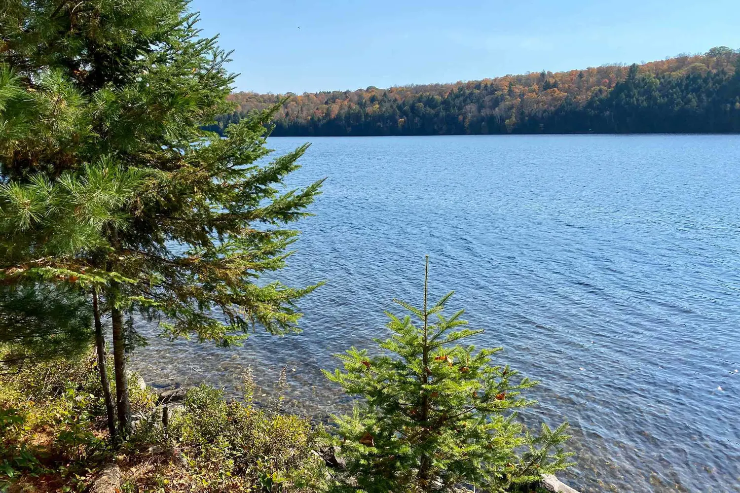 Additional image 16 of 0 Little Long Lake
