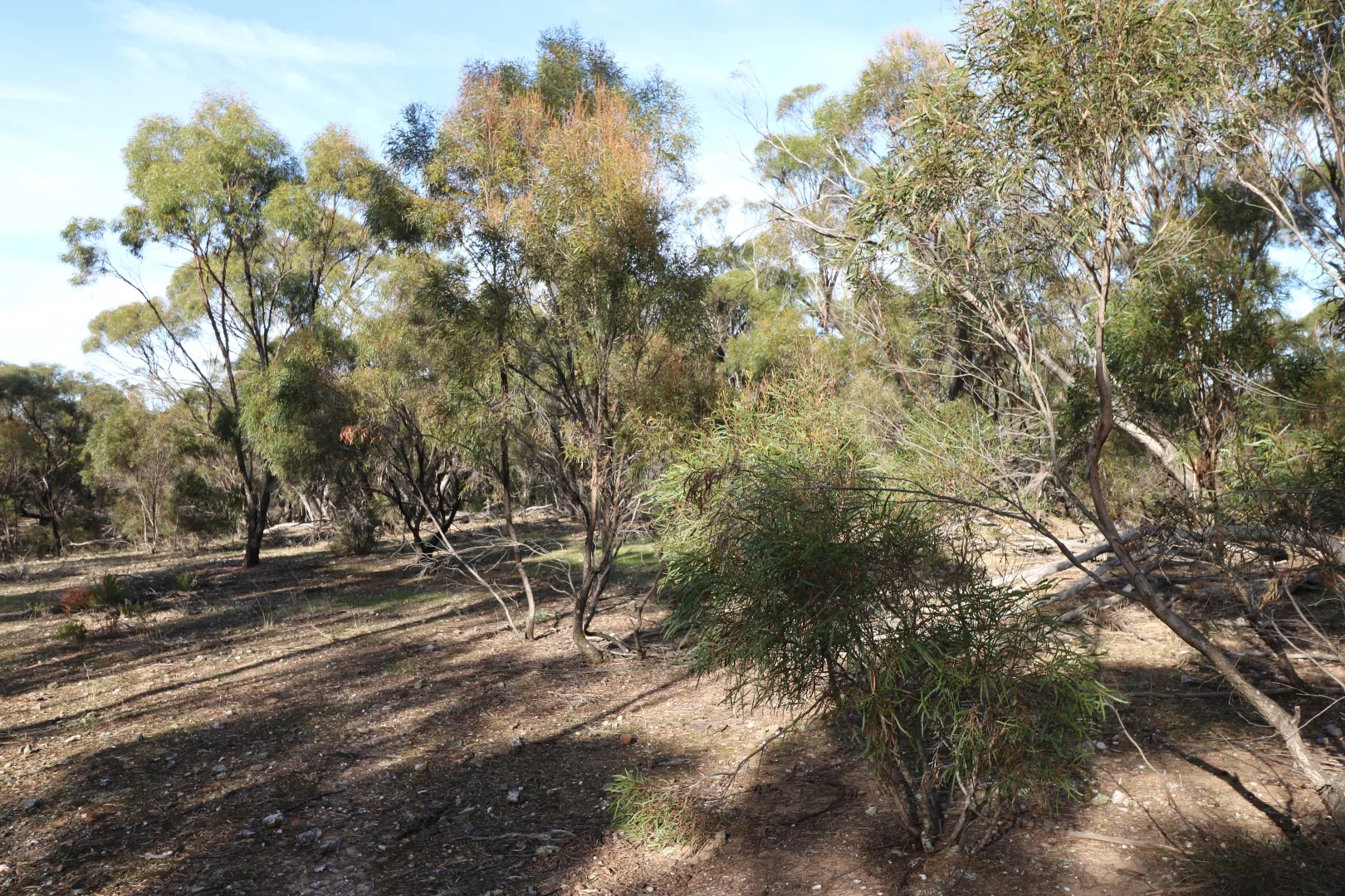 Additional image 27 of 84A Woolshed Flat Road, Wychitella VIC 3525