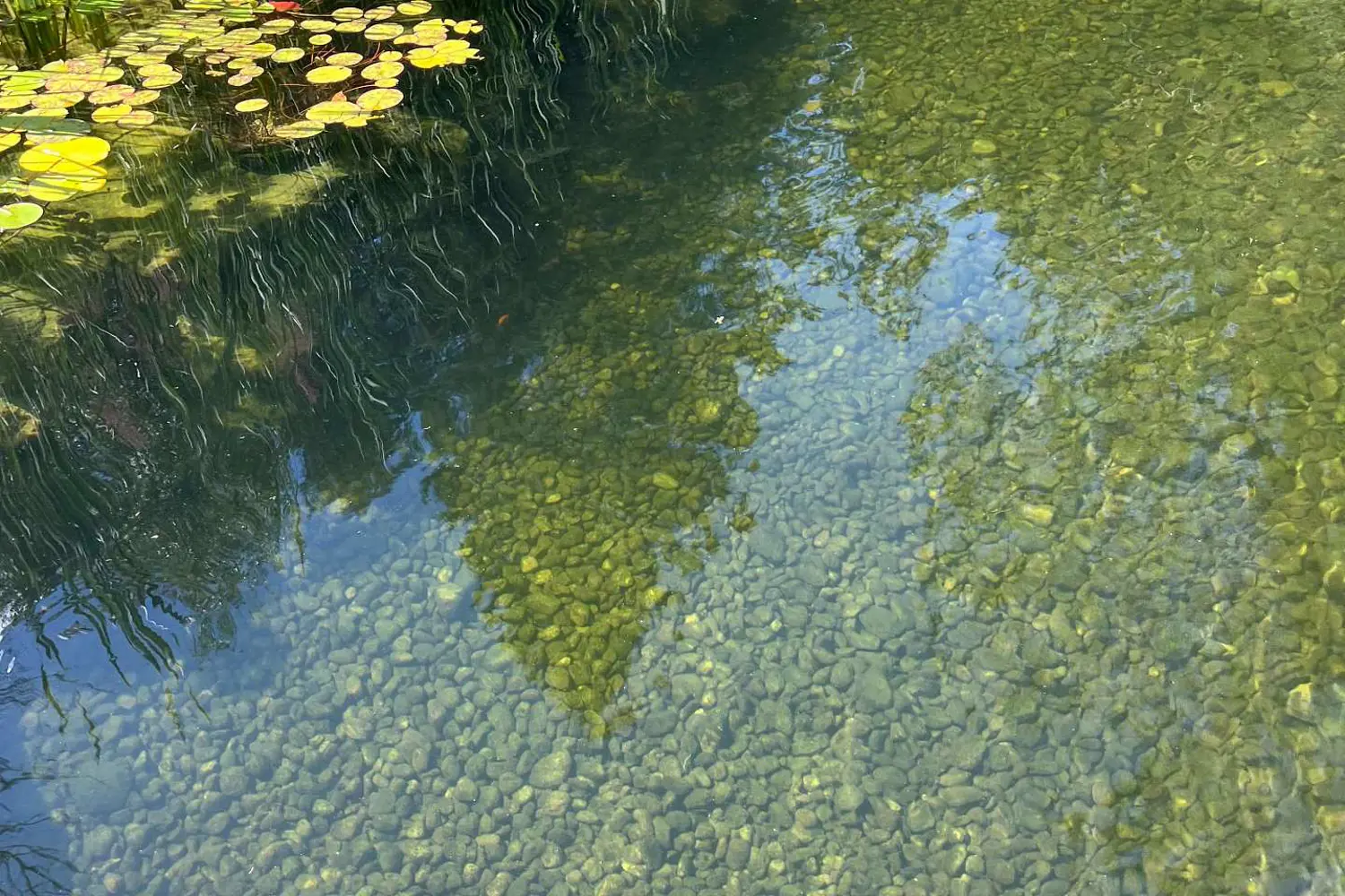 Additional image 17 of 155 Stonewood Drive