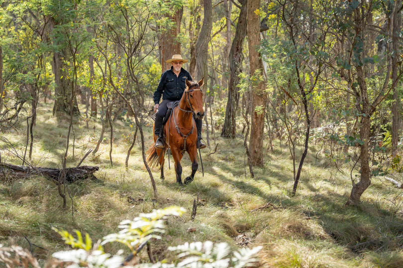 Additional image 19 of . Firebrace Track, Bullioh VIC 3700