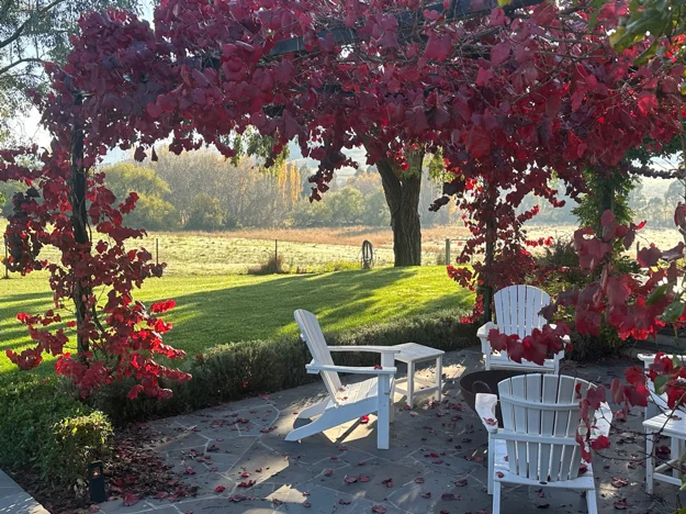 Additional image 2 of 520 Donaldsons Road, Ancona VIC 3715