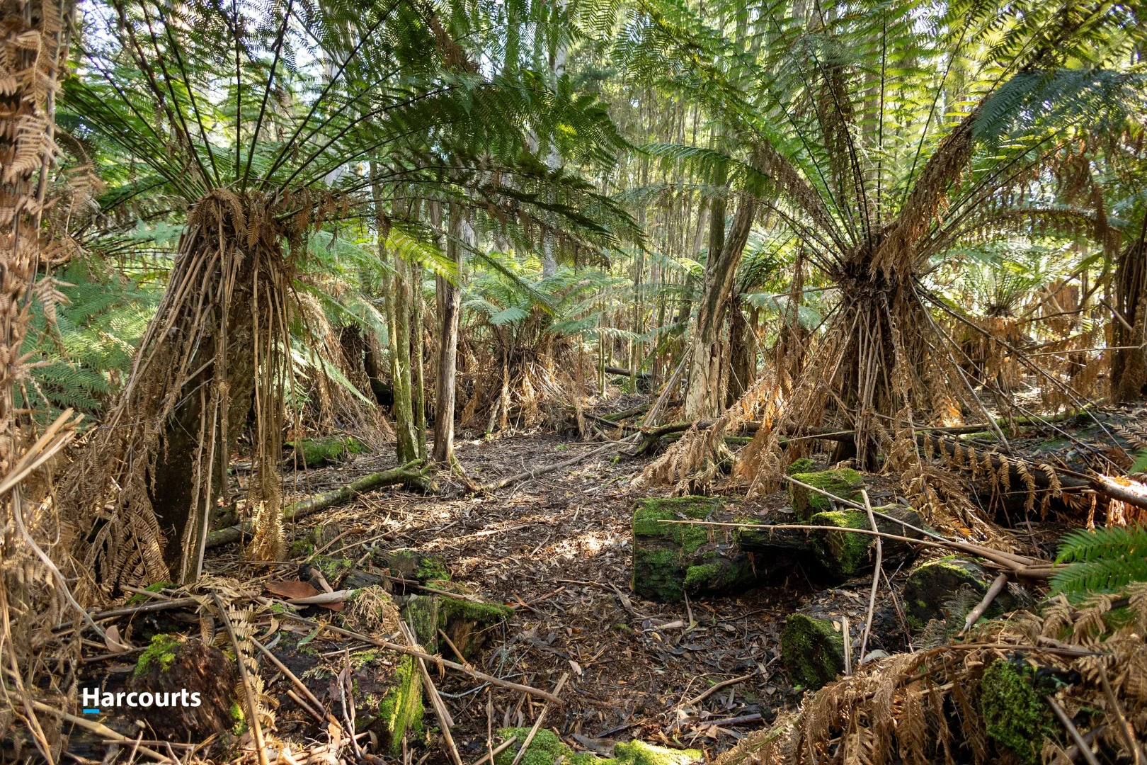 Additional image 35 of 170 Cockle Creek Road, Recherche TAS 7109