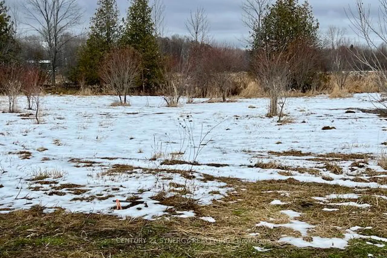 000 Armstrong Road Lot #1 photo 3