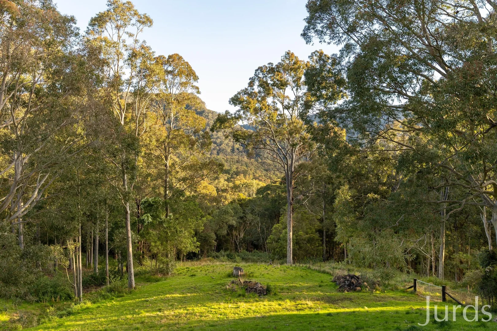 Additional image 37 of 131 Rodney Road, Mount Vincent NSW 2323