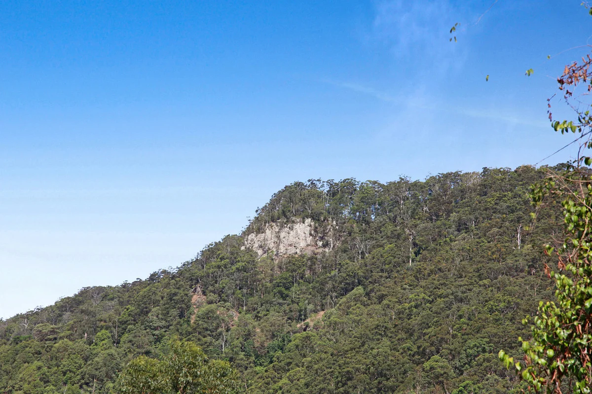 Additional image 6 of 22 Petsch Creek Road, Tallebudgera Valley QLD 4228