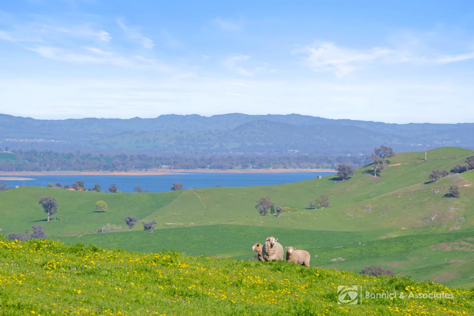 Additional image 14 of "THE OAKS" Bethanga Bay Road, Bethanga VIC 3691