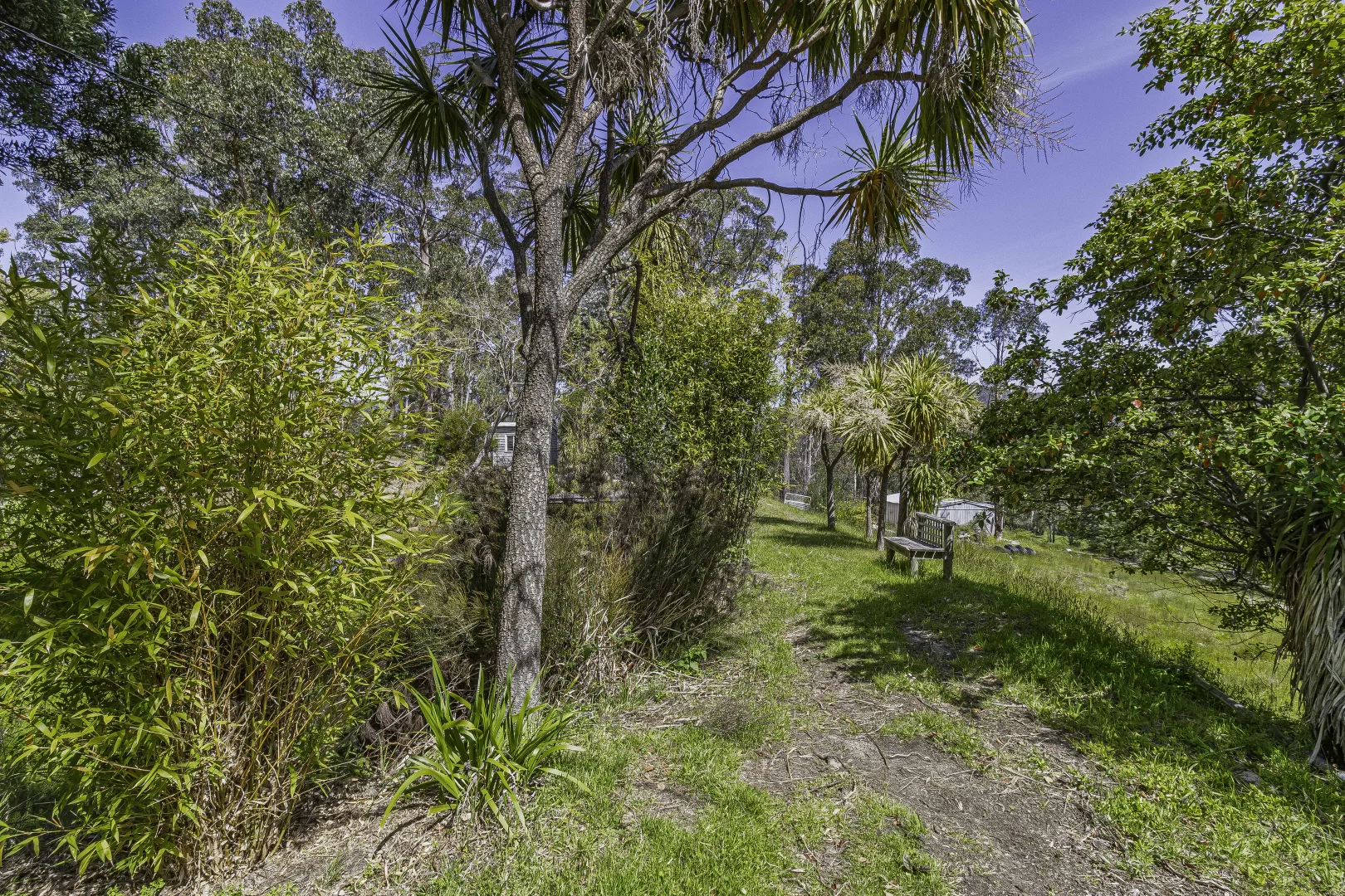 Additional image 48 of 242 Woolleys Road, Lonnavale TAS 7109