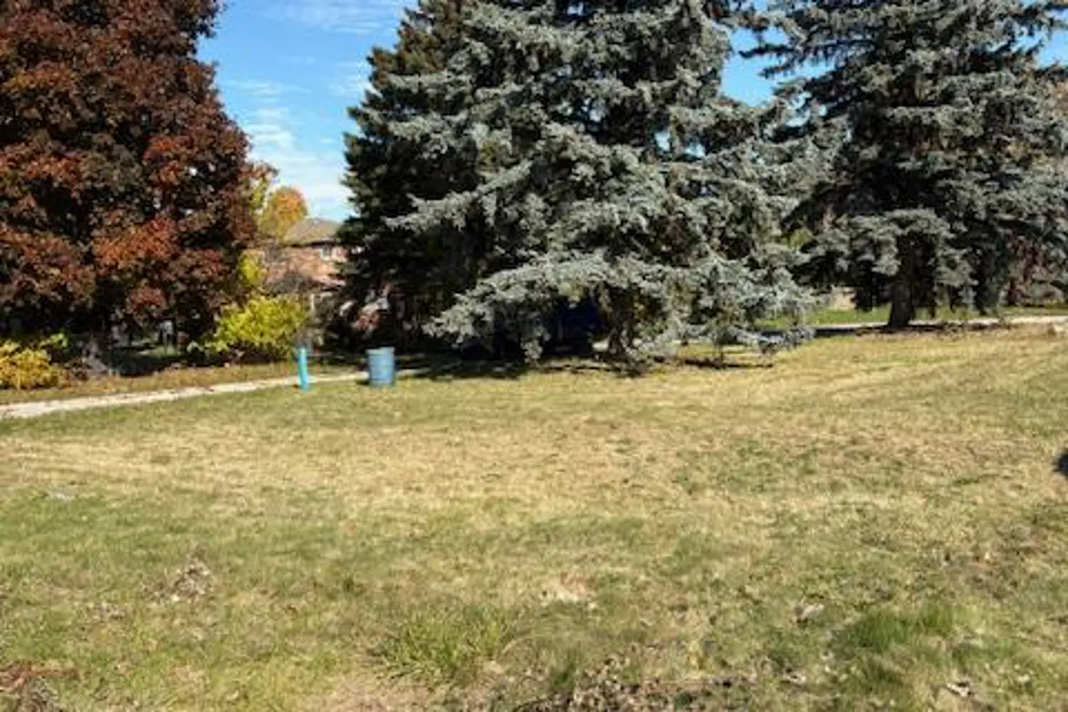Additional image 12 of 281 Barrie Street
