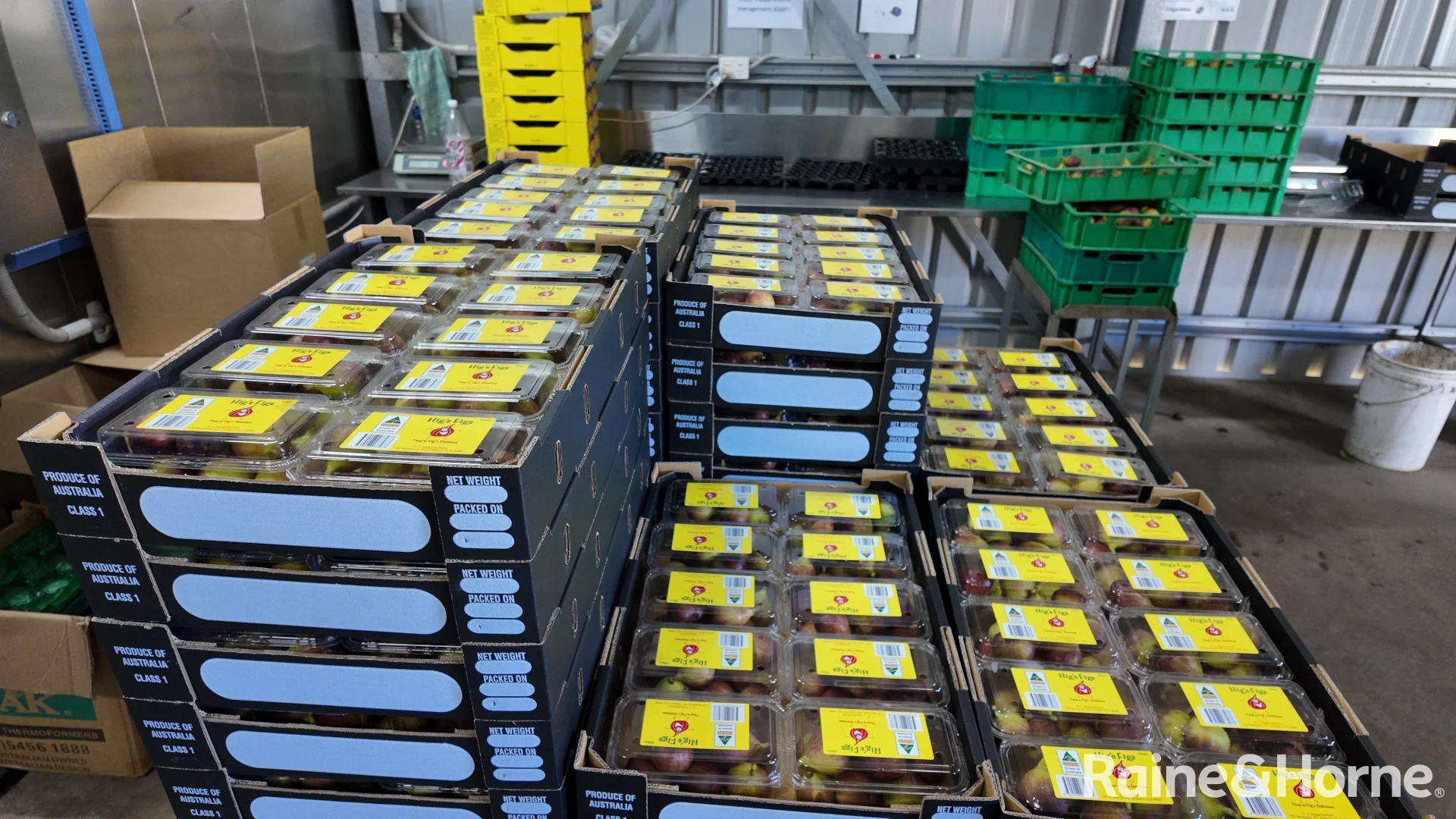 Additional image 18 of 135 Newlands Road, North Gregory QLD 4660