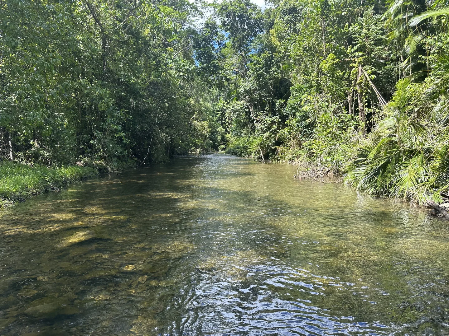 Additional image 14 of Japoonvale QLD 4856