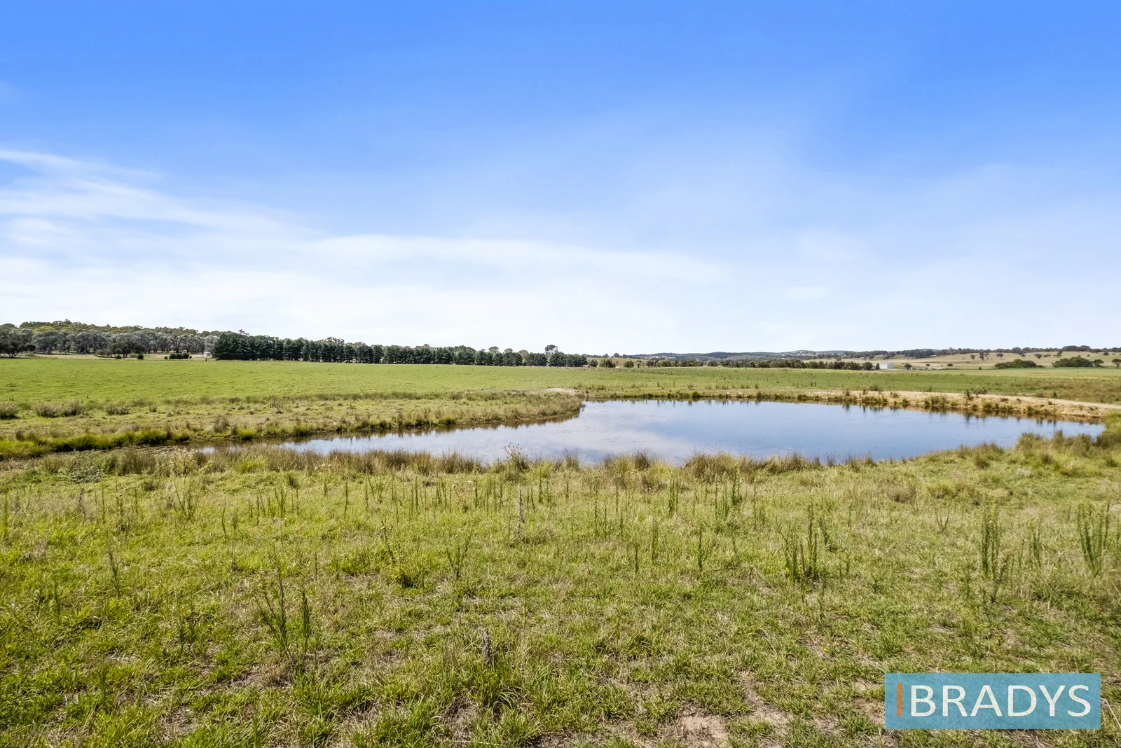 Additional image 14 of 4348 Gundaroo Road, Gundaroo NSW 2620