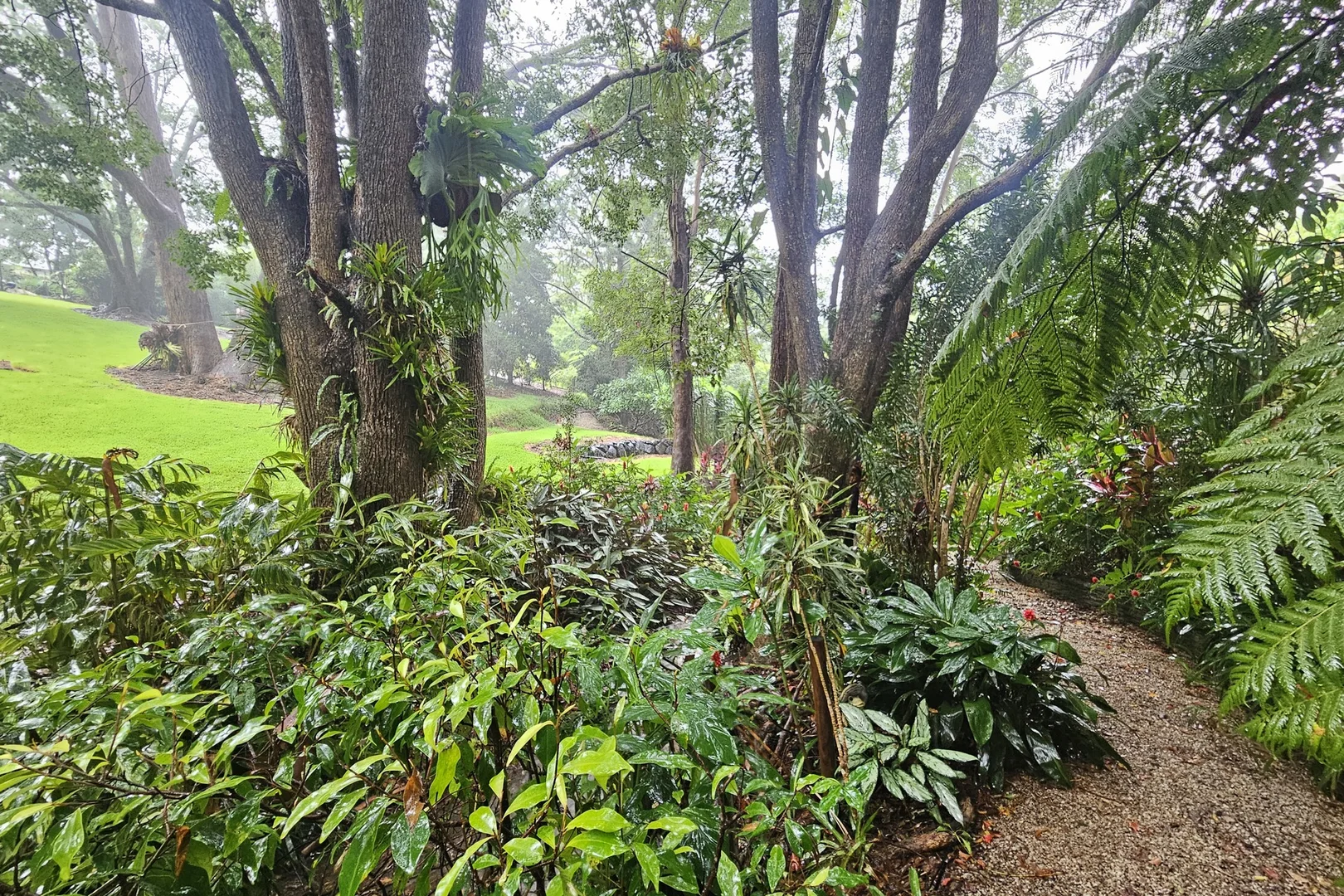 Additional image 49 of 30 Tanglewood Drive, Tanglewood NSW 2488