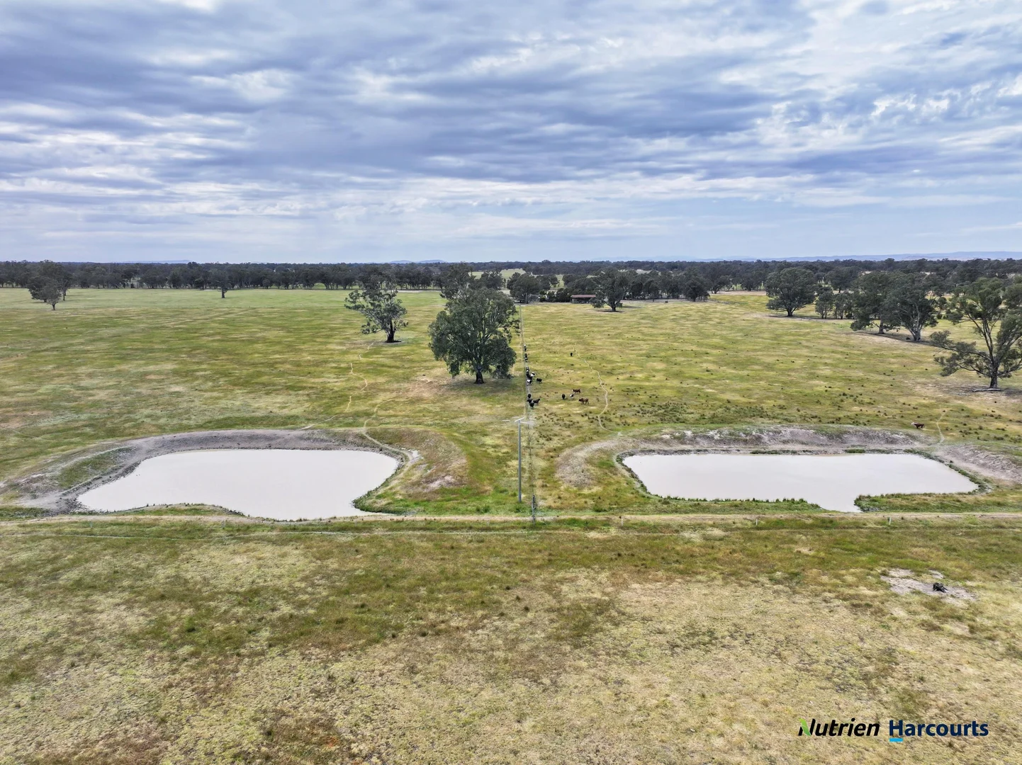 Additional image 26 of 43 Robinson Road, Violet Town VIC 3669