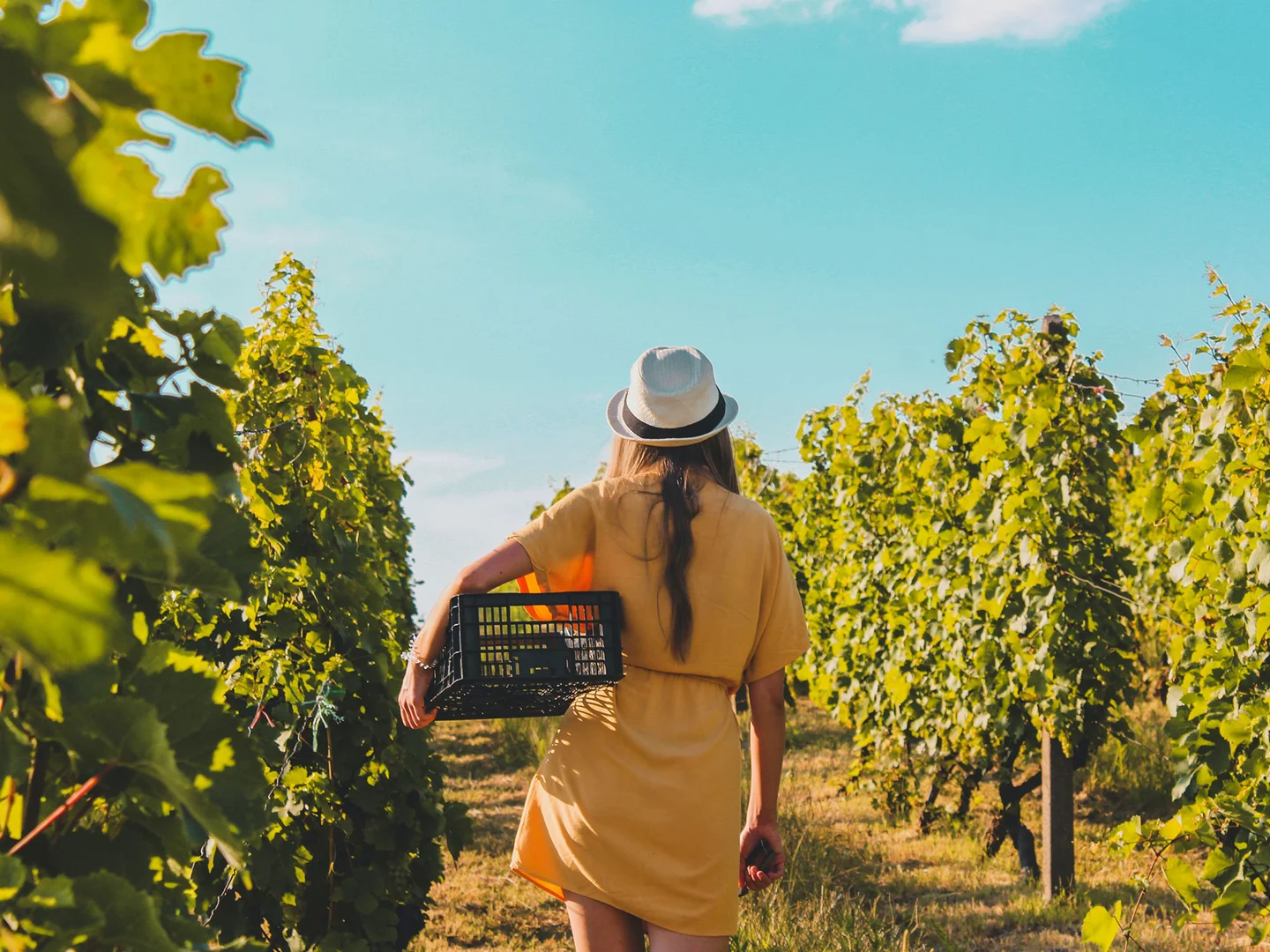 Additional image 8 of 430 Horseshoe Bend Road, Armstrong Creek VIC 3217