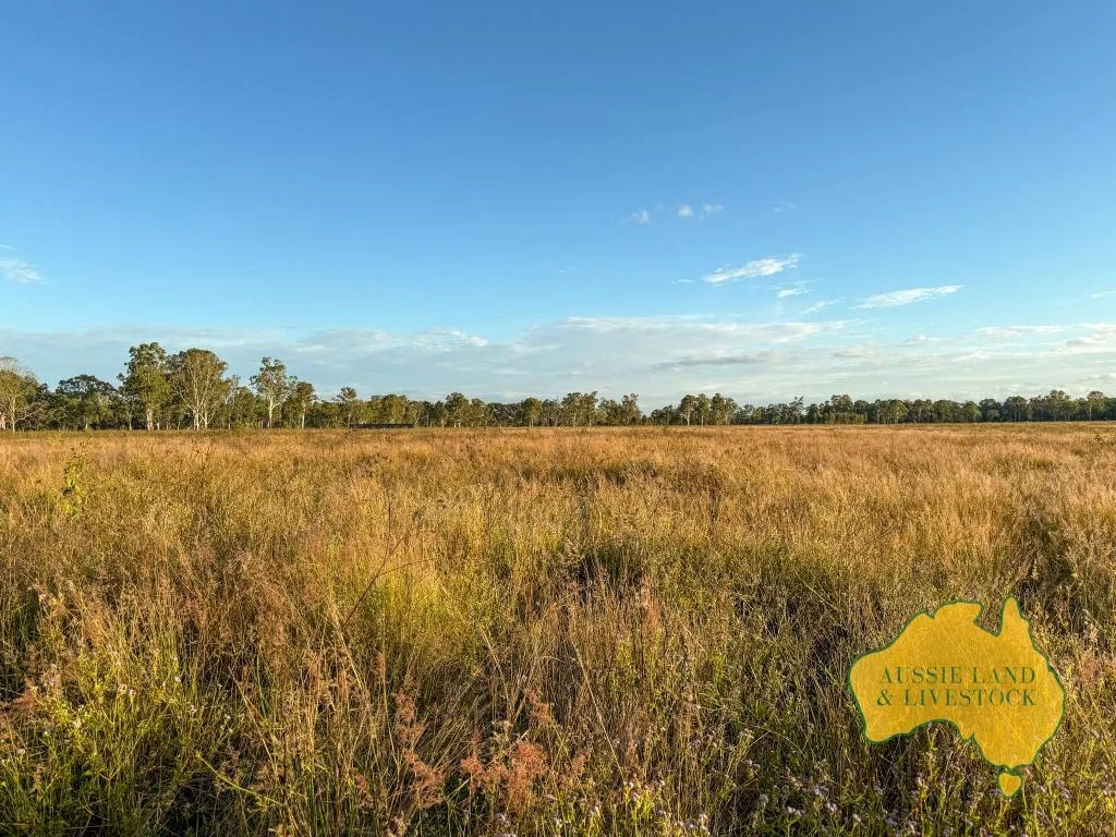 Additional image 62 of 8 SCREENING PLANT ROAD, Cynthia QLD 4627