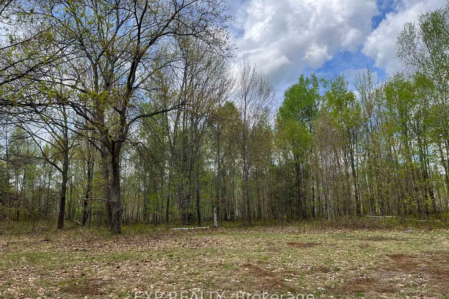 Additional image 5 of Lot 37 Sandy Shores Trail