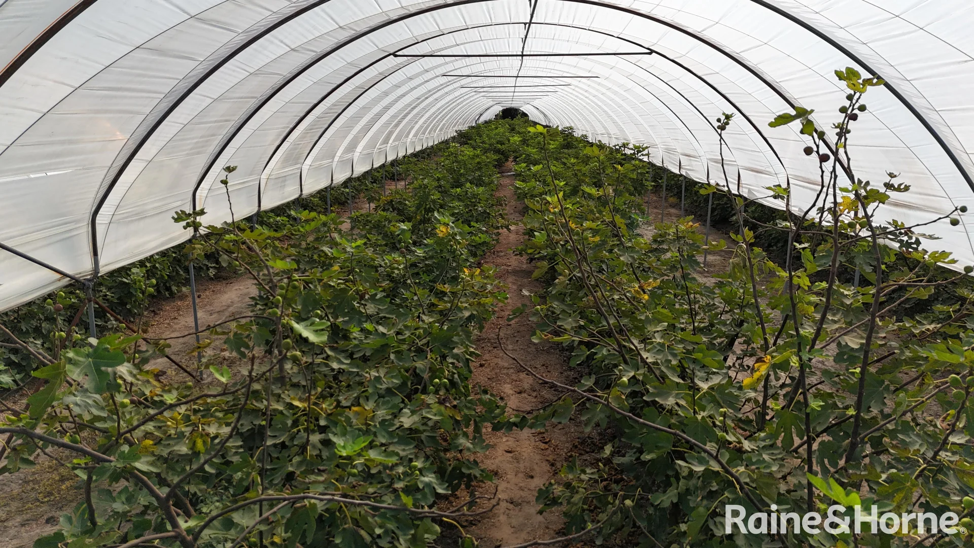 Additional image 2 of 135 Newlands Road, North Gregory QLD 4660