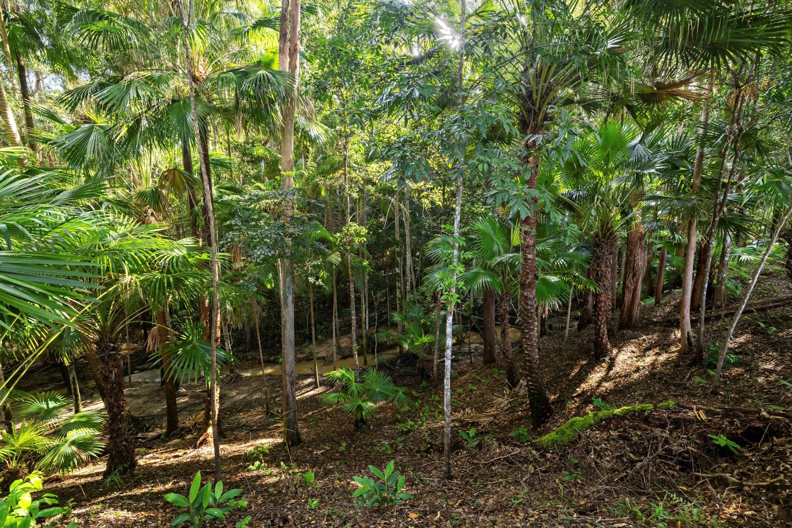 Additional image 37 of 72 Elisabeth Valley Place, Ilkley QLD 4554