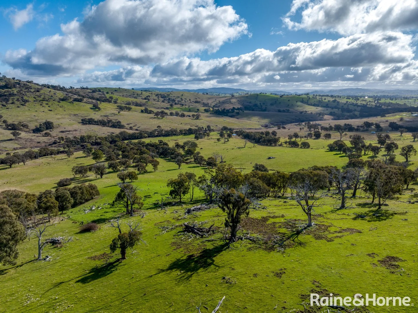 Additional image 4 of 2306 Bigga Road, Bigga NSW 2583