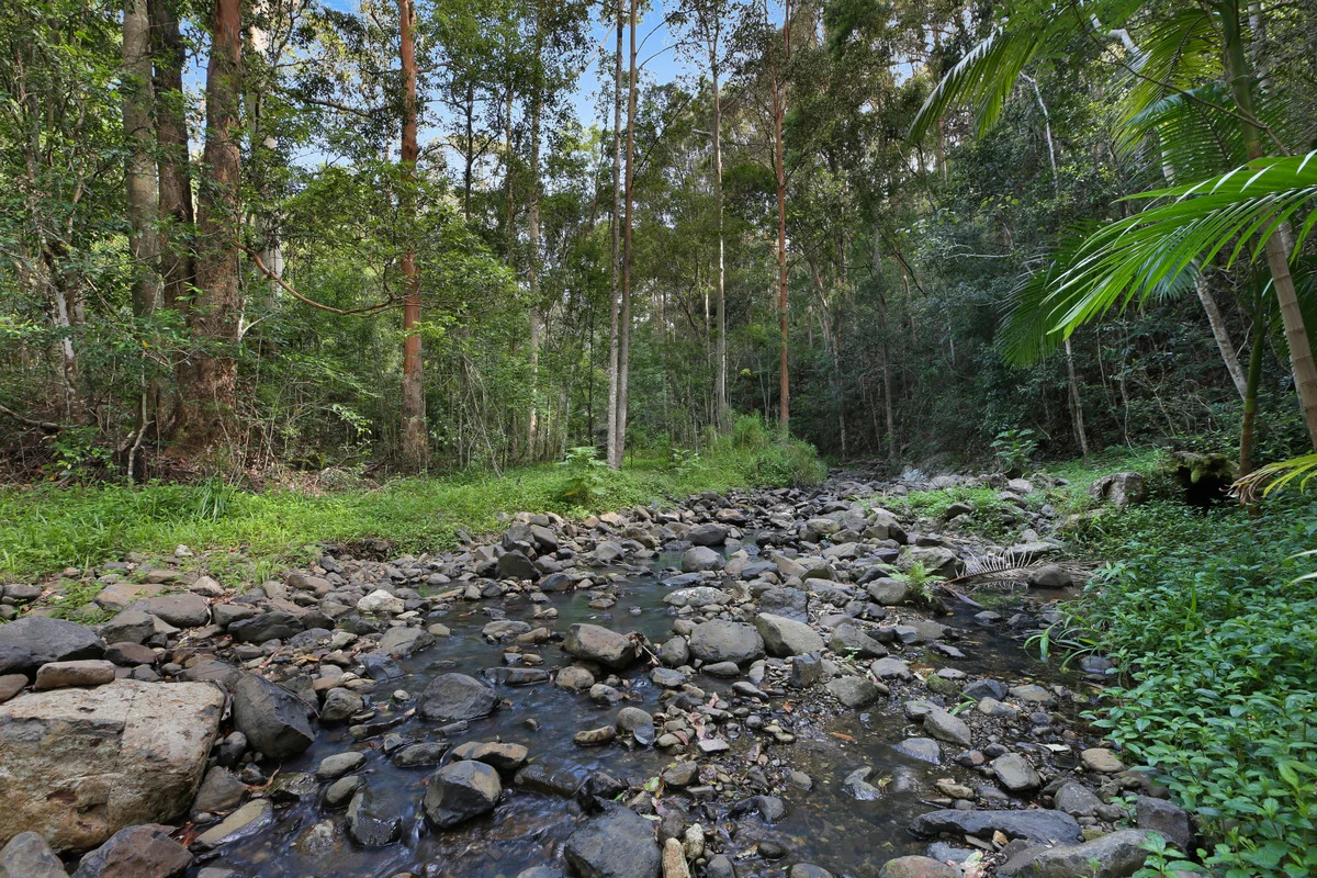 Additional image 18 of 22 Petsch Creek Road, Tallebudgera Valley QLD 4228