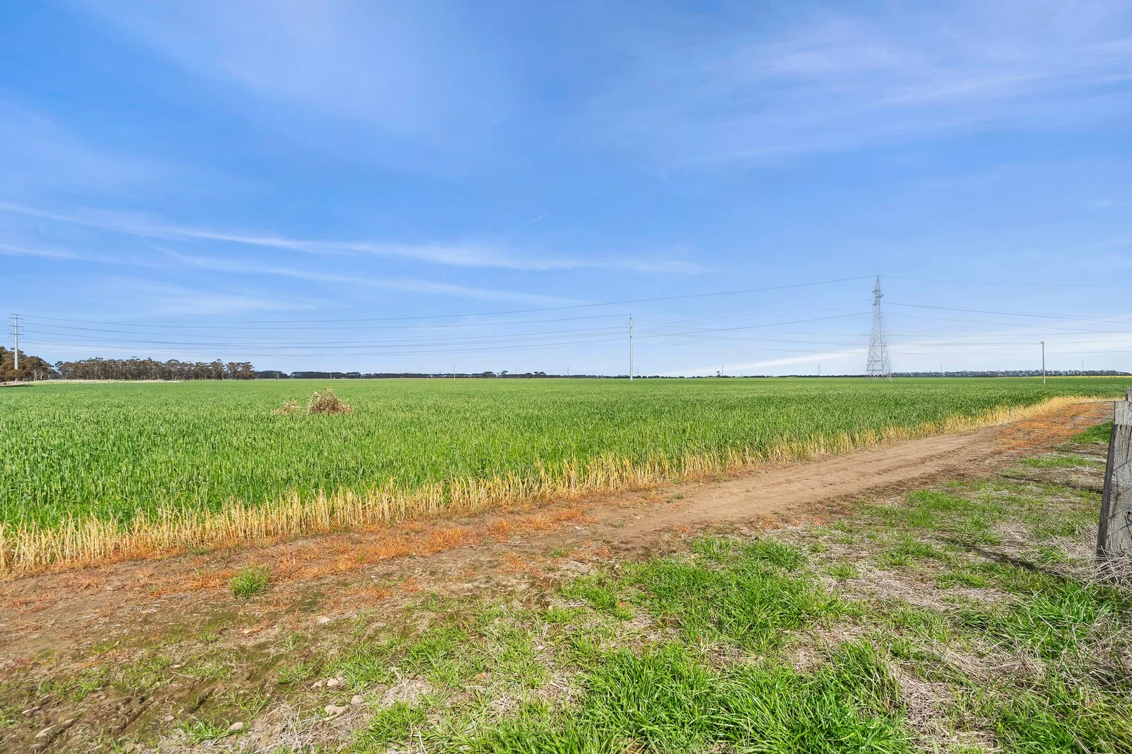 Additional image 7 of ELYS Four Tree Road, Lismore VIC 3324