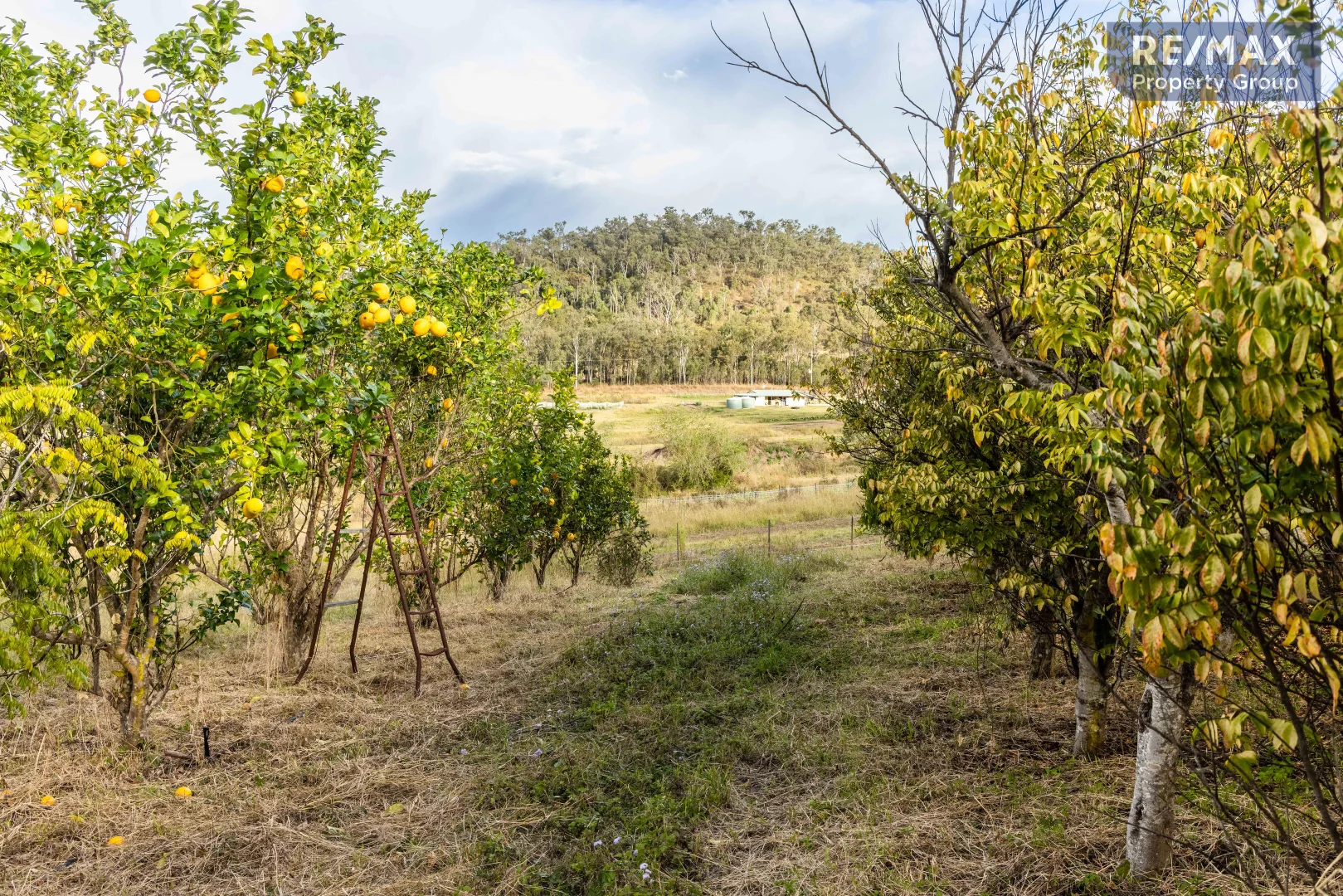 Additional image 16 of 2 Reilly Road, Woolooga QLD 4570